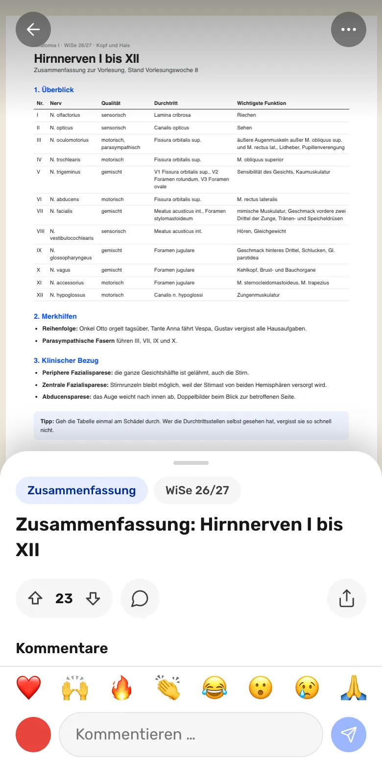 Shared summary on cranial nerves I to XII in the document viewer